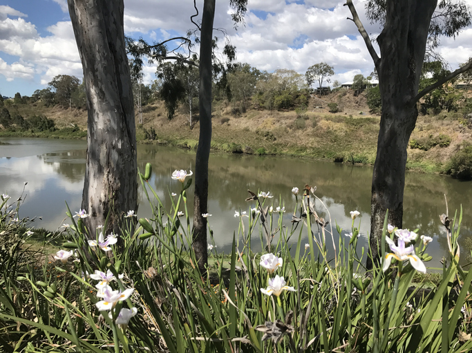 river near karalee